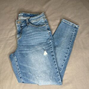 Style & Co Curvy Skinny Leg Jeans